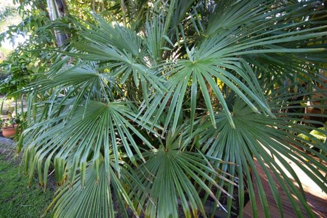 Palm Garden Papamoa Beach Paradise Exterior photo