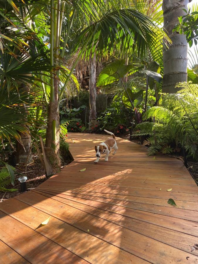 Palm Garden Papamoa Beach Paradise Exterior photo